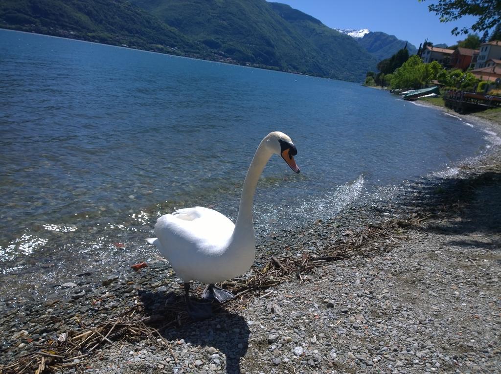 Pianello Del LarioVenanzio!アパートメント エクステリア 写真