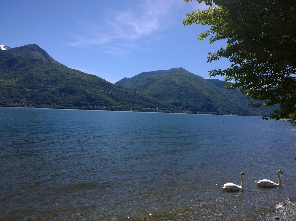 Pianello Del LarioVenanzio!アパートメント エクステリア 写真